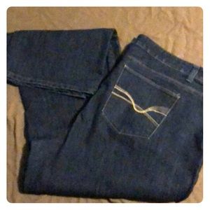 Woman’s plus size Dress Barn brand boot jeans